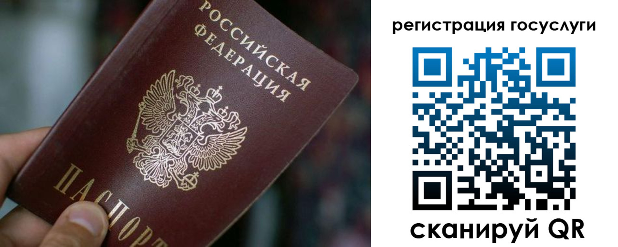 временная прописка в Сольцах